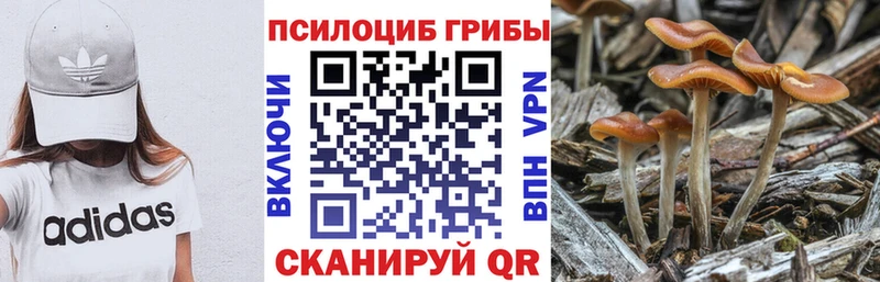 Галлюциногенные грибы мухоморы  хочу   Аркадак 